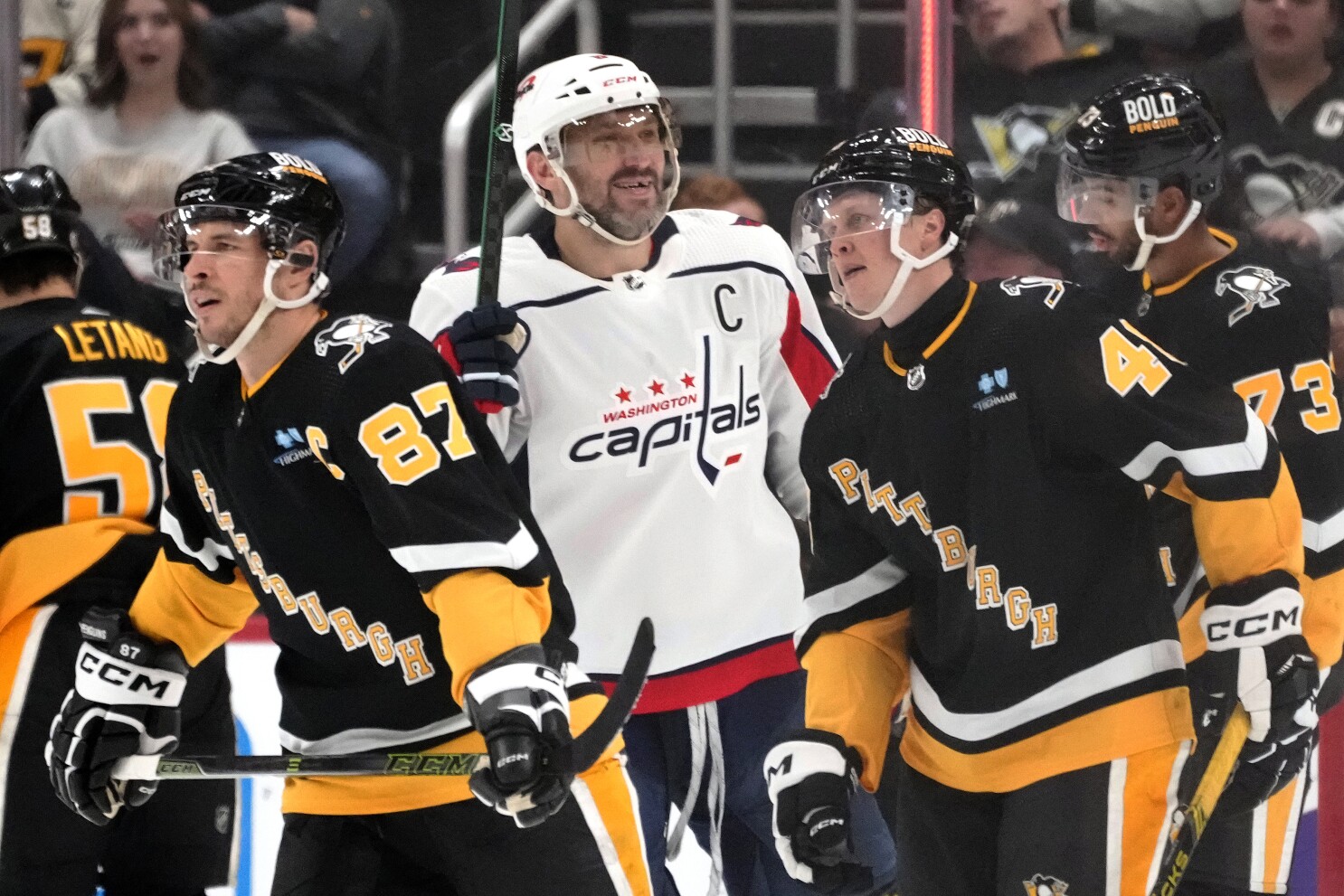 Caps penquins best sale